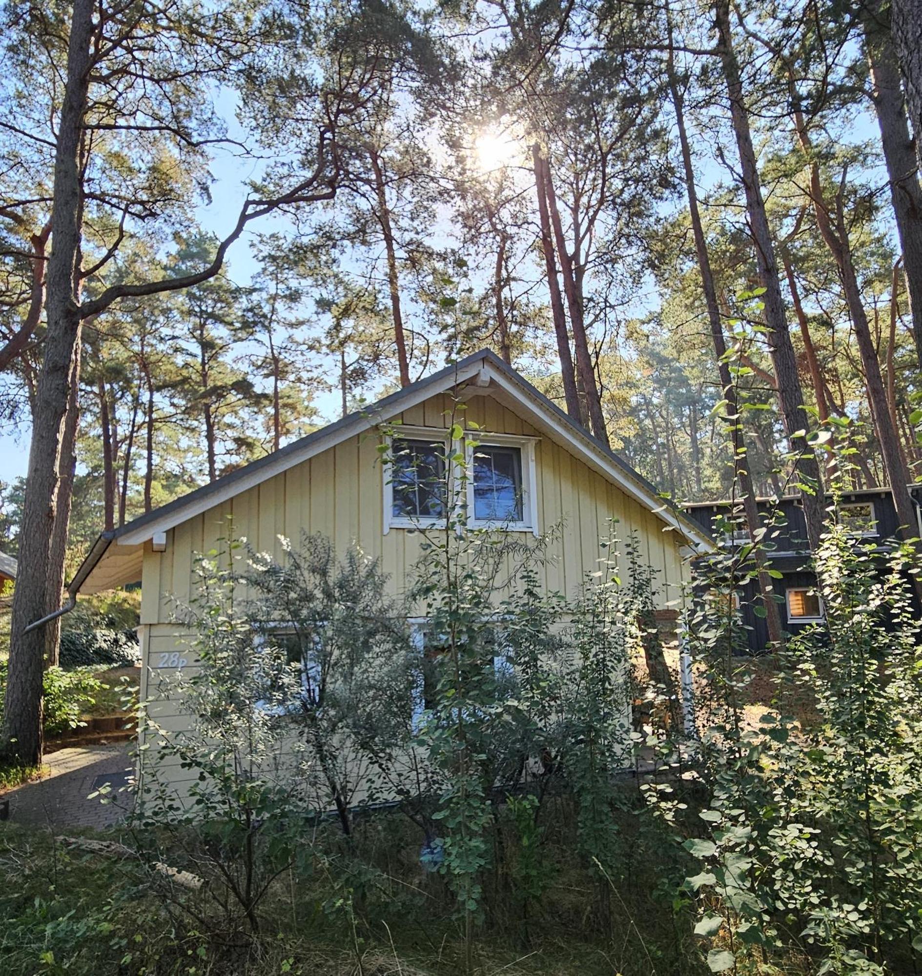 Das Haus Am Meer Baabe Eksteriør billede